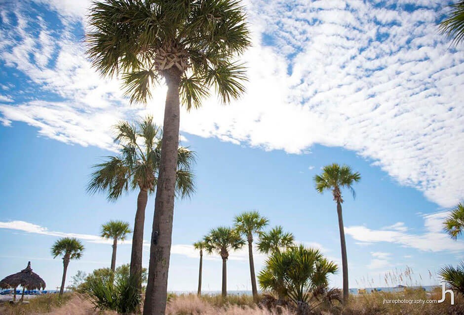 Sirata Resort on St Pete Beach