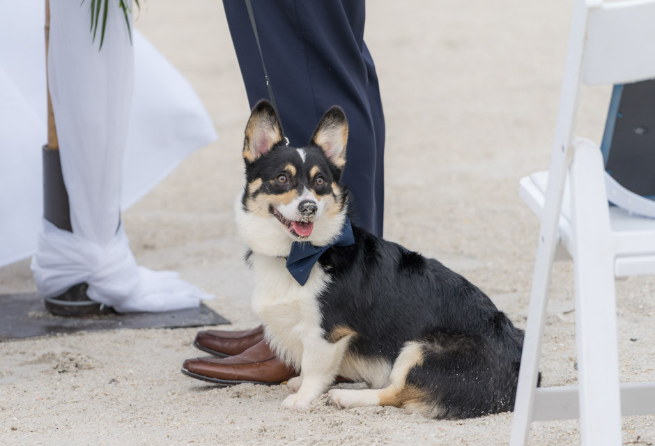 Florida beach wedding details at Sirata Resort