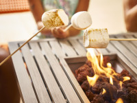 Pirate and Smores pictures